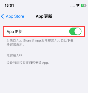 东城街道苹果15维修中心如何让iPhone15APP自动更新