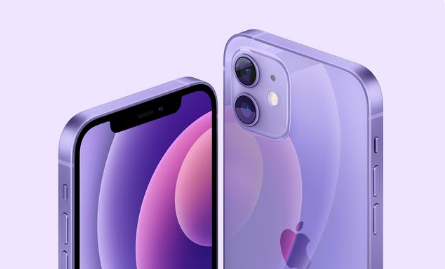 东城街道苹果手机维修分享紫色版iPhone 12有什么技术亮点 